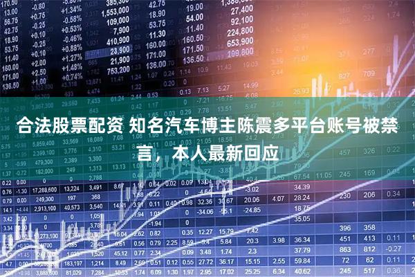 合法股票配资 知名汽车博主陈震多平台账号被禁言，本人最新回应